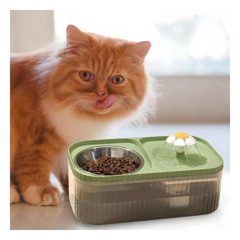 Fuente De Agua Y Comida para gatos