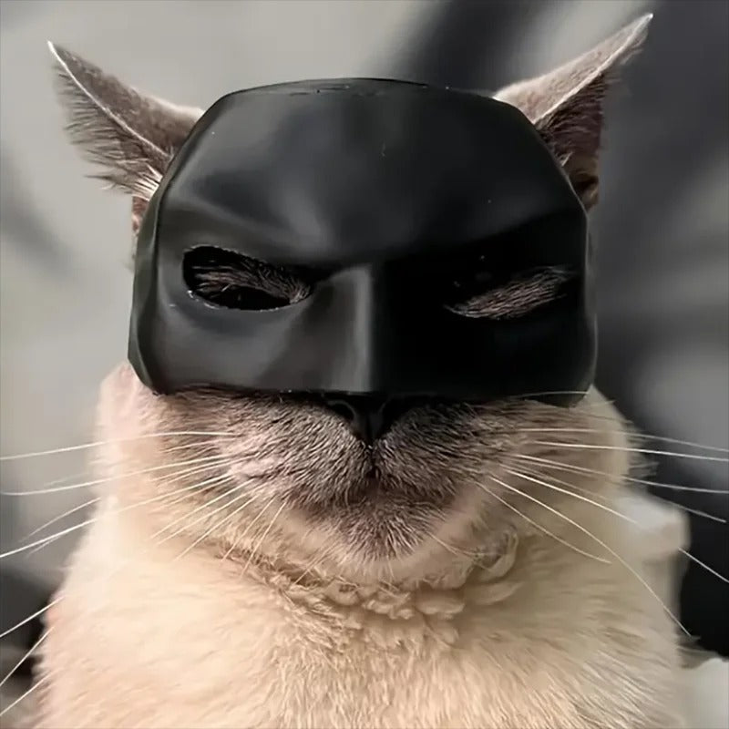Mascaras para gatitos
